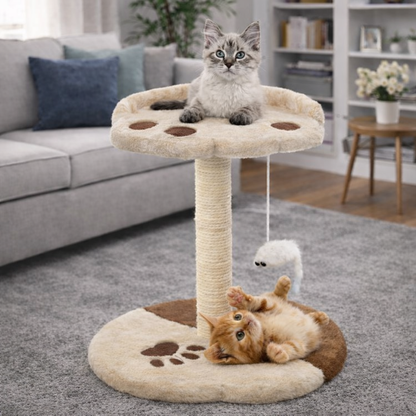 Kompakte Kratzstation mit Bett